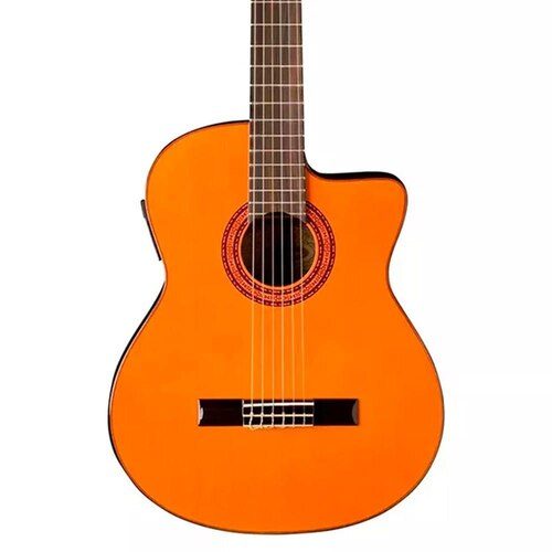 WASHBURN C5CE — foto 1