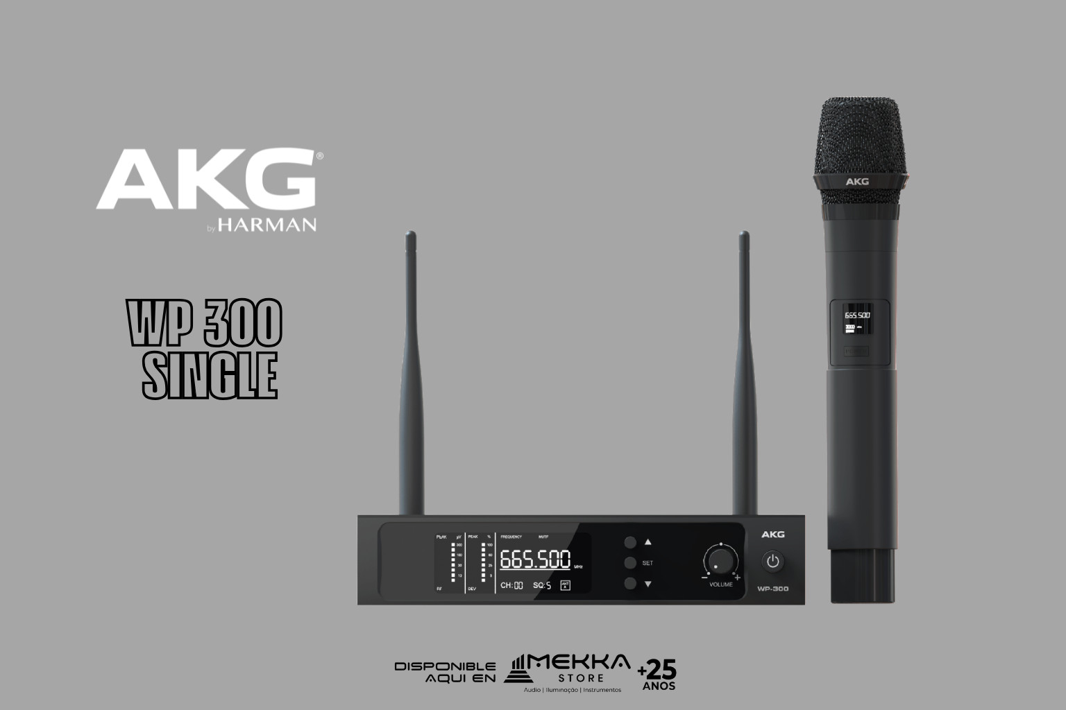 AKG WP300 INDIVIDUAL