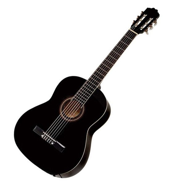 VIOLAO TAKAMINE NYLON NORMAL — foto 1