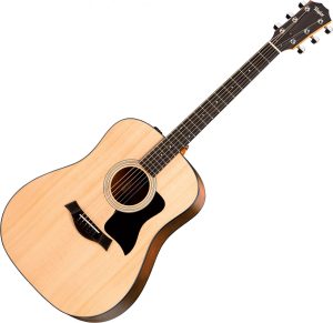 Taylor 110EE