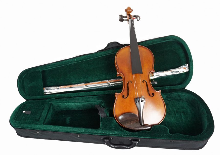 VIOLINO 4/4 MEMPHIS — foto 1