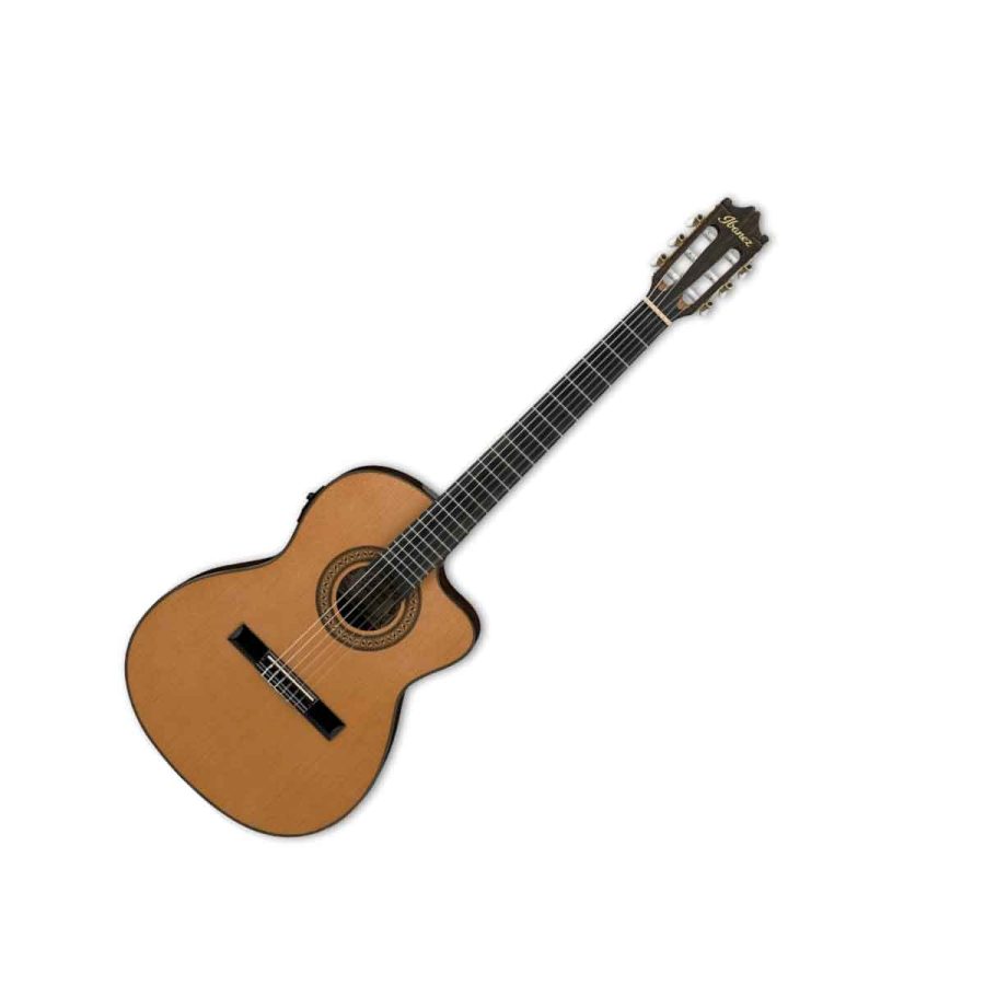 VIOLAO IBANEZ GA5TCE-AM — foto 1