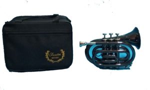 SAX Pocket Fontai