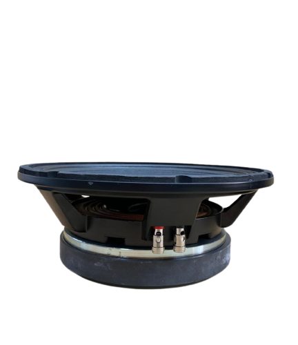 ALTO FALANTE GOLD CY08126-100 (12" - 8OHM- 1000W) — foto 1