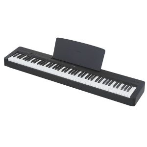 Yamaha p-145B