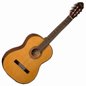 Washburn C40