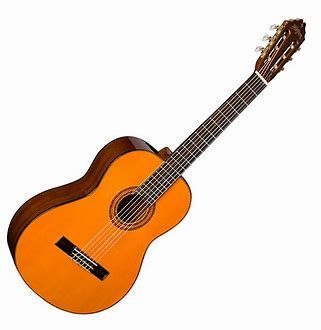 WASHBURN C5 WSH — foto 1