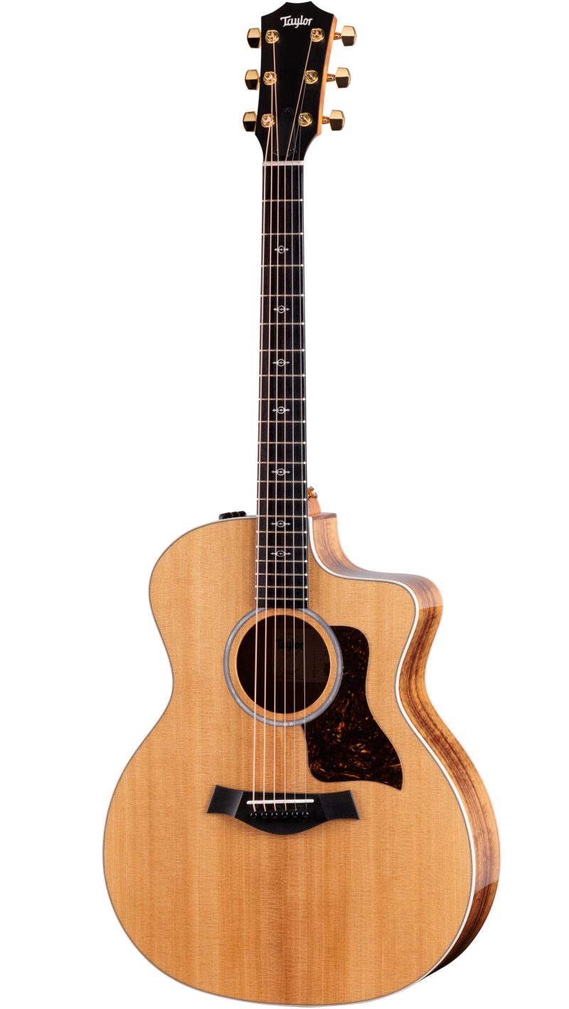 TAYLOR 214CE-KDLX — foto 1