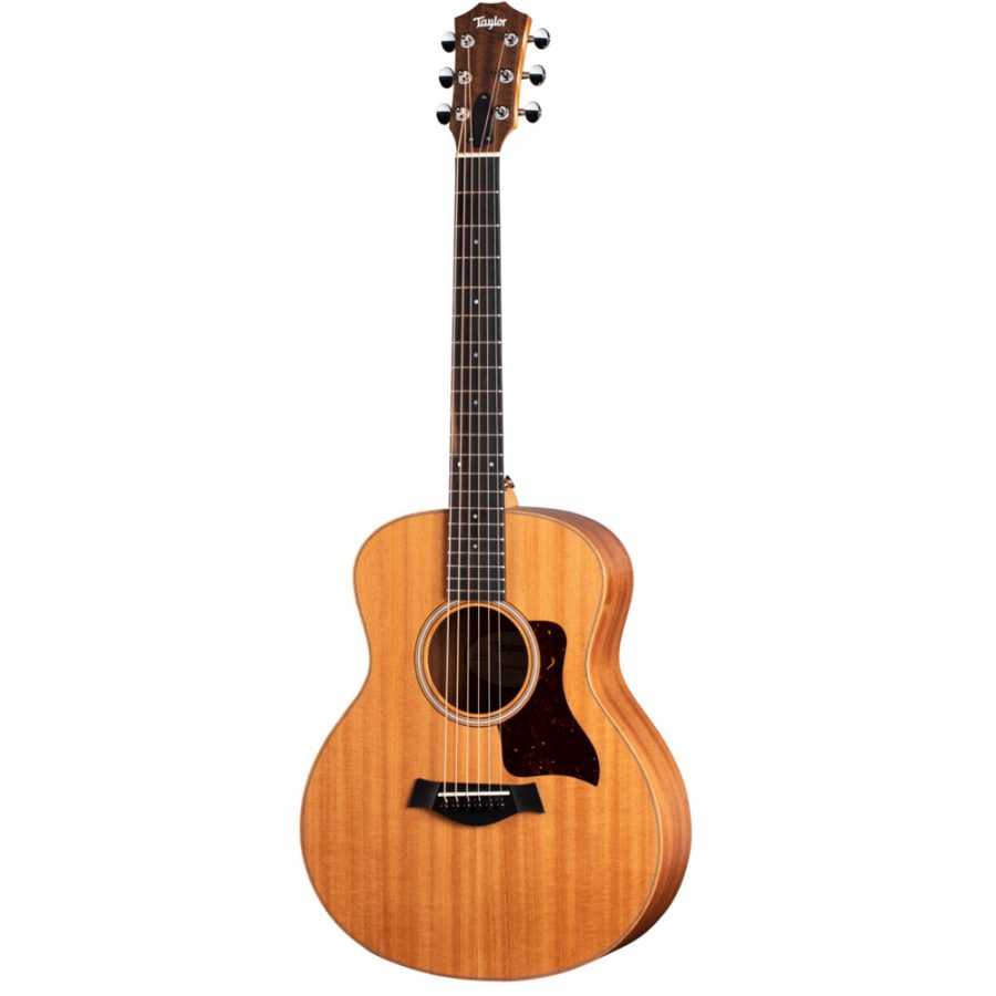 TAYLOR GSMINI-ERSB — foto 1