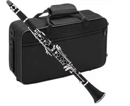 CLARINETE KAYSEN GSW-09 17C — foto 1