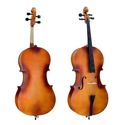 VIOLAO CELLO TAYSTE R-C35 4/4 — foto 1