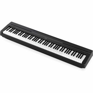 Yamaha P45-B