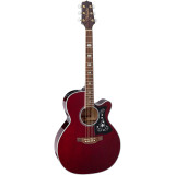 TAKAMINE GN75