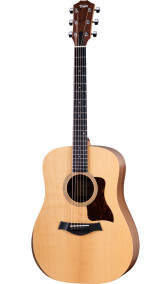 TAYLOR ACADEMY 10EN