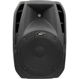 CAIXA DE SOM PEAVEY PBK 15P