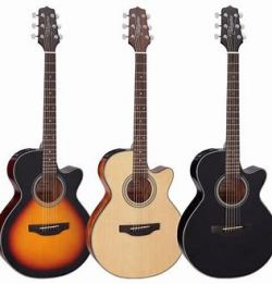 TAKAMINE GF15CE