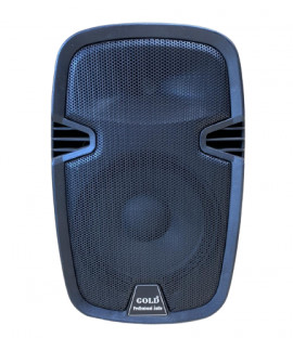 CAIXA DE SOM GOLD PML10