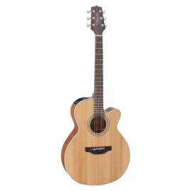 TAKAMINE GN20CE NS