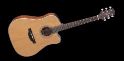 TAKAMINE VIOLAO GD20 CE NT