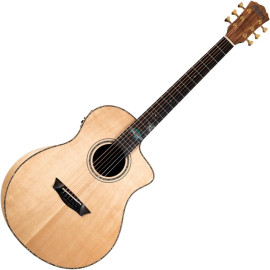 WASHBURN BTSC56 SCE-D