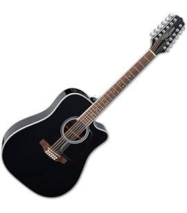 TAKAMINE GD30
