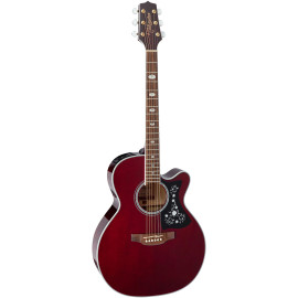 TAKAMINE GN75